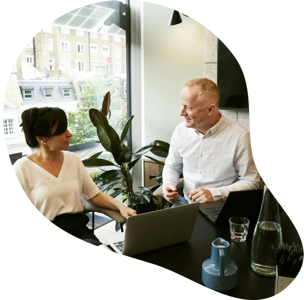 seo para consultores independientes