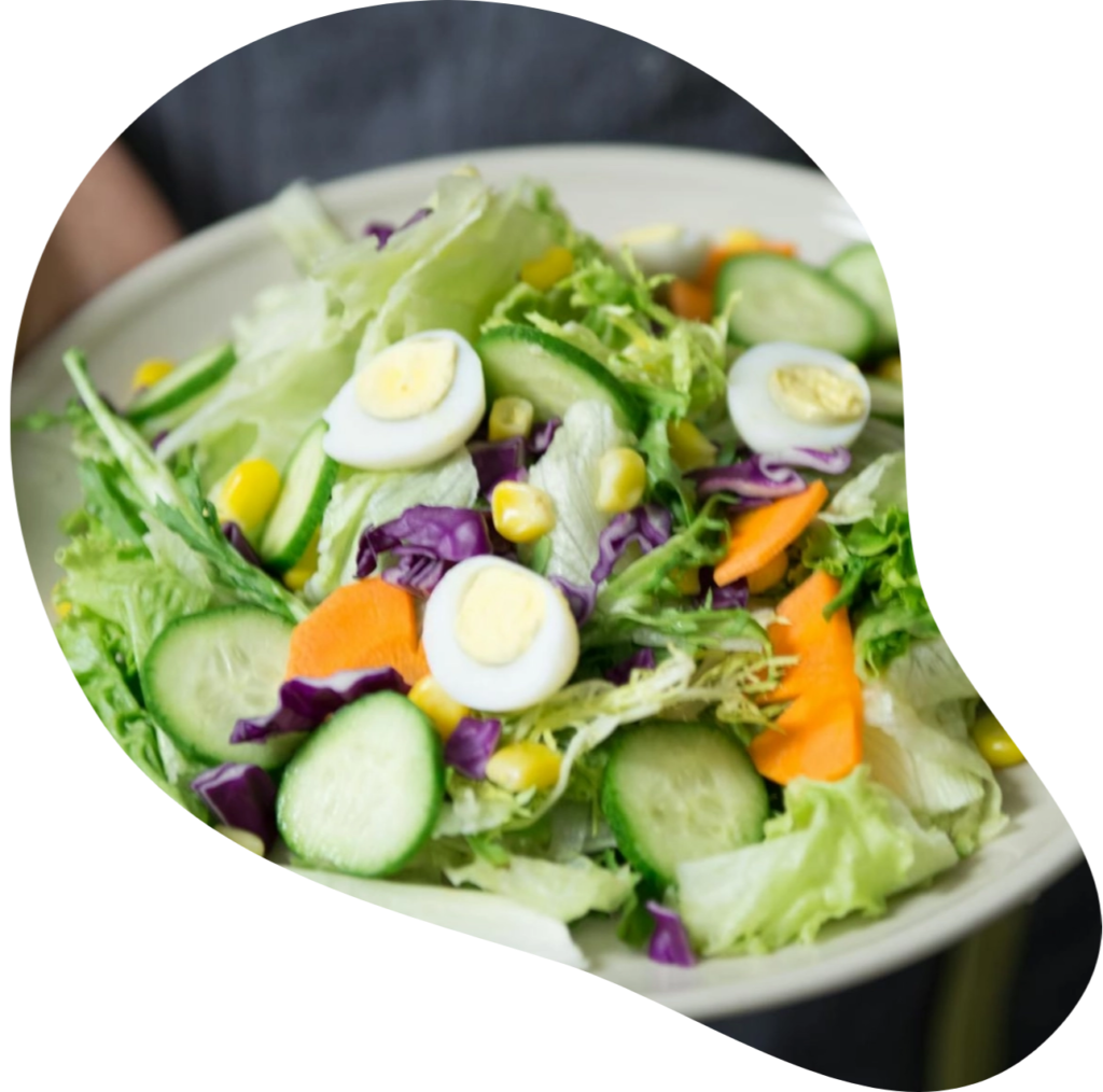 seo web para nutriologos